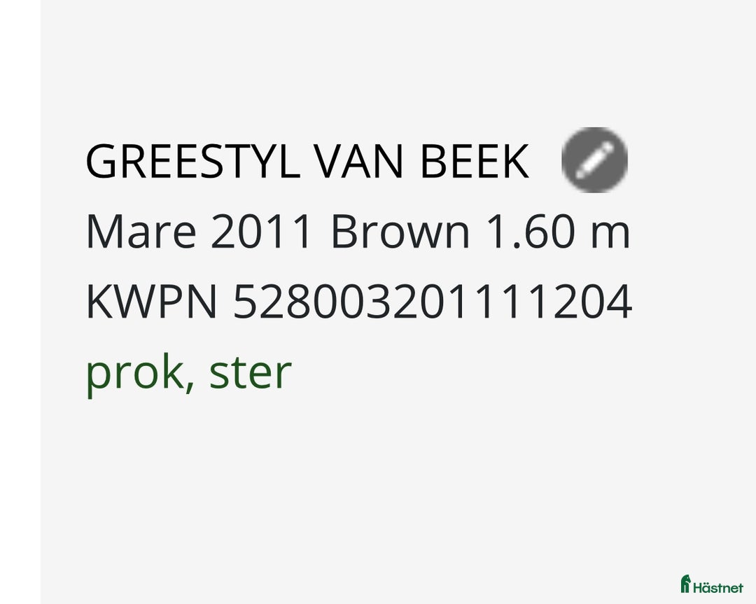 Allround hästar till salu: Välutvecklad och Framåt i Köping - Annons 2