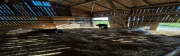  stallplats finnes: Helt stall uthyres  i Enköping - Annons 2