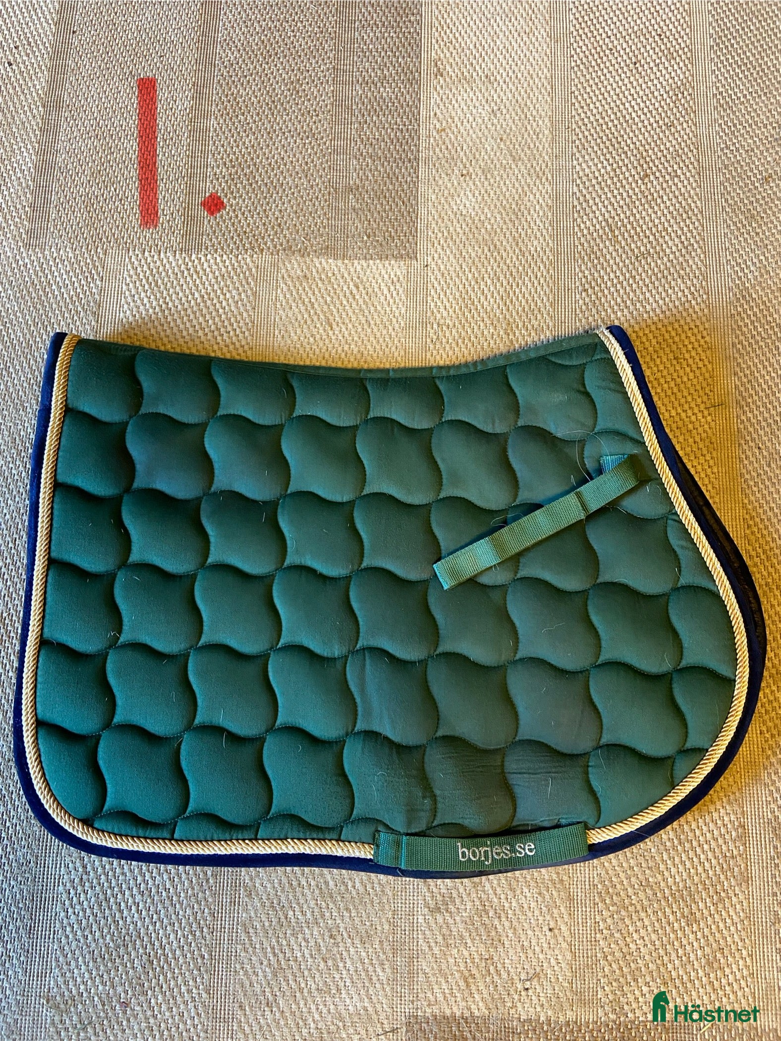 Schabrak & Vojlockar hästutrustning till salu: Schabrak  i Bollebygd - Annons 4