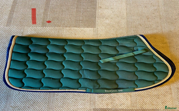 Schabrak & Vojlockar hästutrustning till salu i Bollebygd - Annons 11