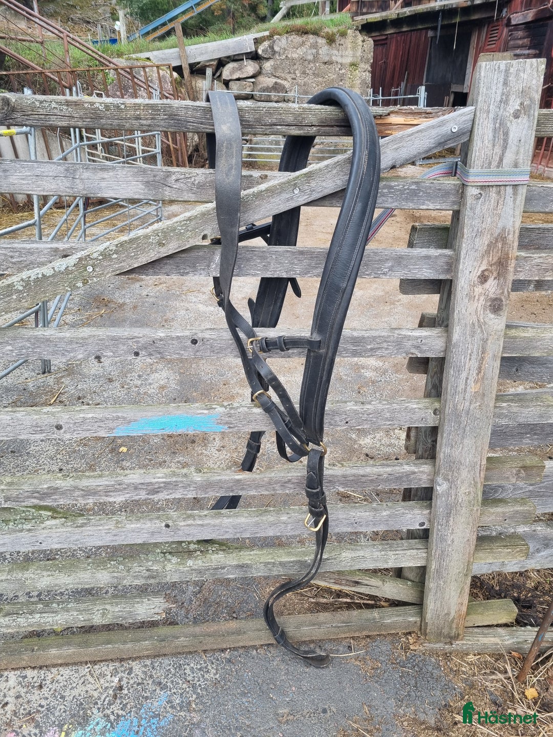 Körselar körning till salu: Bröstsele strl full i Gränna - Annons 5