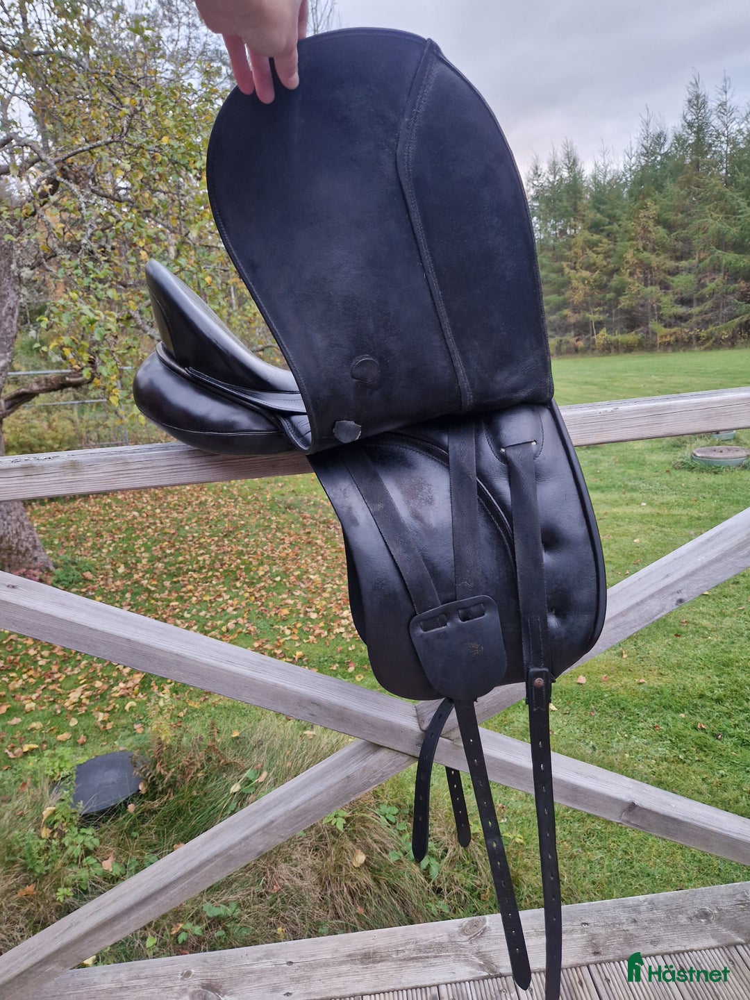 Sadlar hästutrustning till salu: Kieffer Lusitano till rak rygg  i Rejmyre - Annons 2