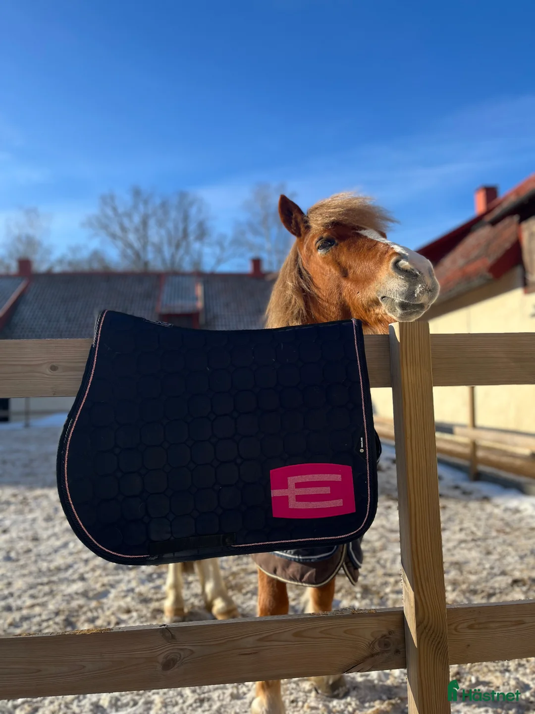 Schabrak & Vojlockar hästutrustning till salu: Super fint Equline schabrak  i Nyköping - Annons 4