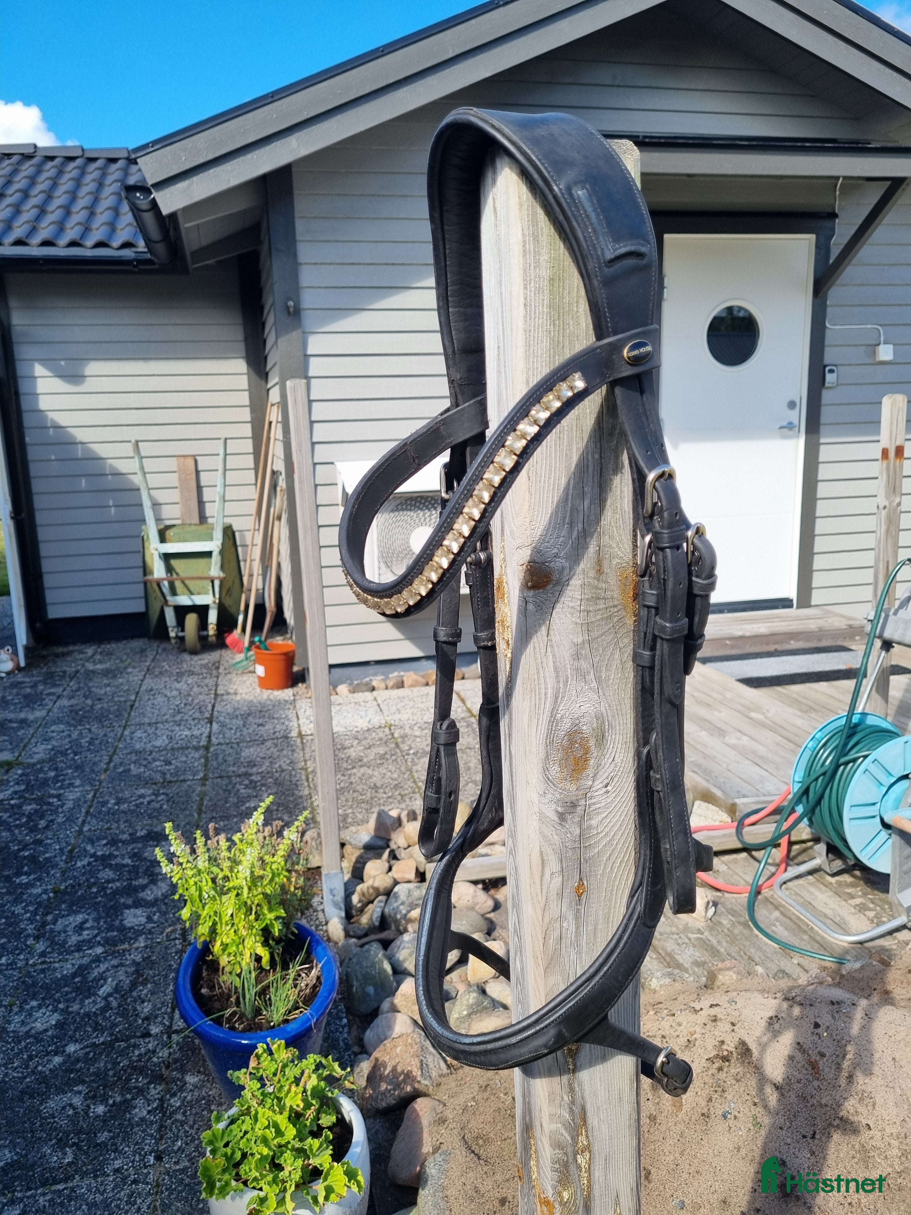 Träns hästutrustning till salu: Fint träns från Lippo stl cob i Tvååker - Annons 4