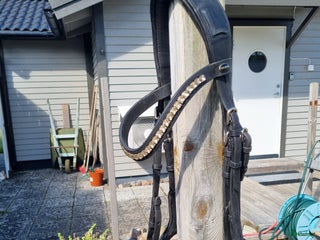 Träns hästutrustning till salu: Fint träns från Lippo stl cob i Tvååker - Annons 4