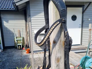 Träns hästutrustning till salu: Fint träns från Lippo stl cob i Tvååker - Annons 5
