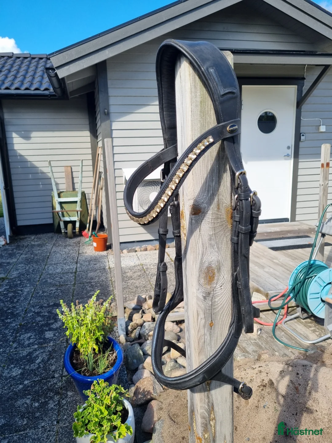 Träns hästutrustning till salu: Fint träns från Lippo stl cob i Tvååker - Annons 1