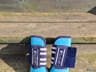 Benskydd hästutrustning till salu: Ljusblåa benskydden i Dingle - Annons 11