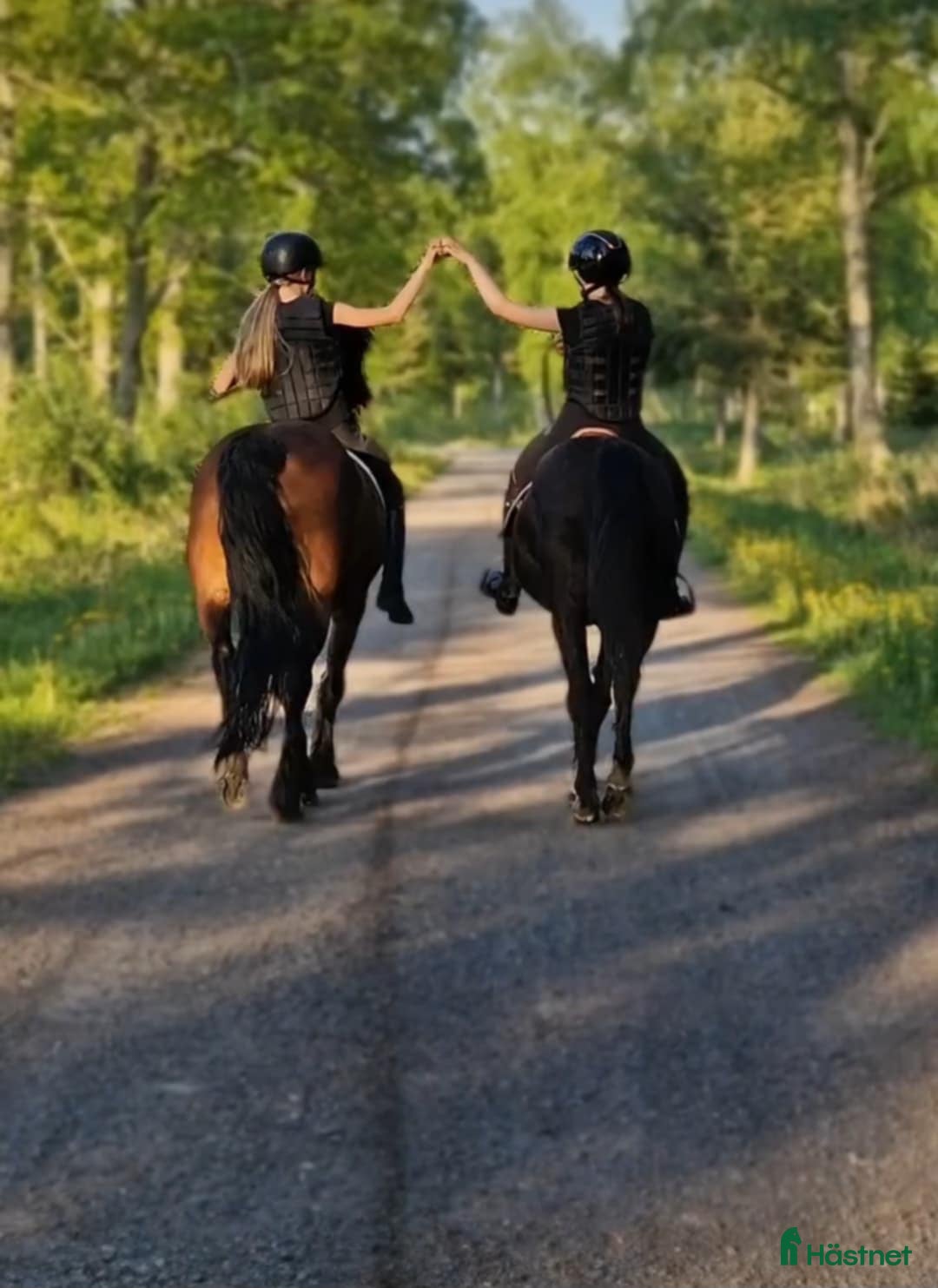  stallplats finnes: Stallplats i Jönköping - Annons 7