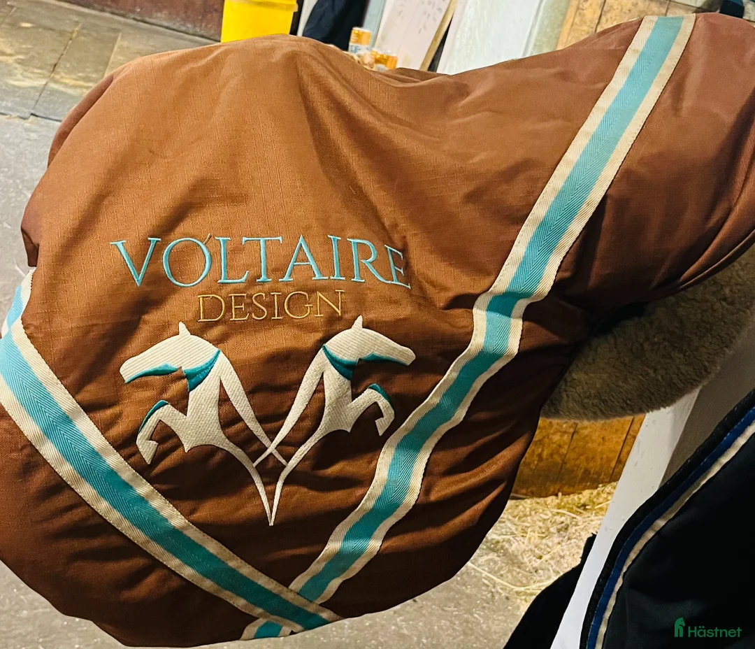 Sadlar hästutrustning till salu: Voltaire Palm Beach Sprangsal - Annons 12