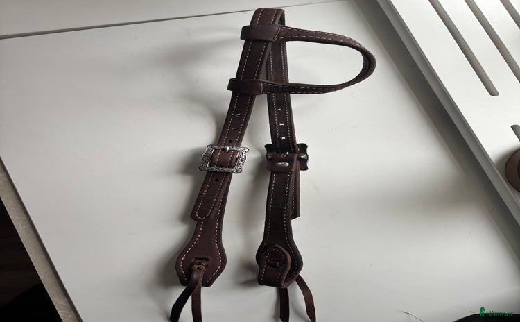 Träns hästutrustning till salu i Kil - Annons 16