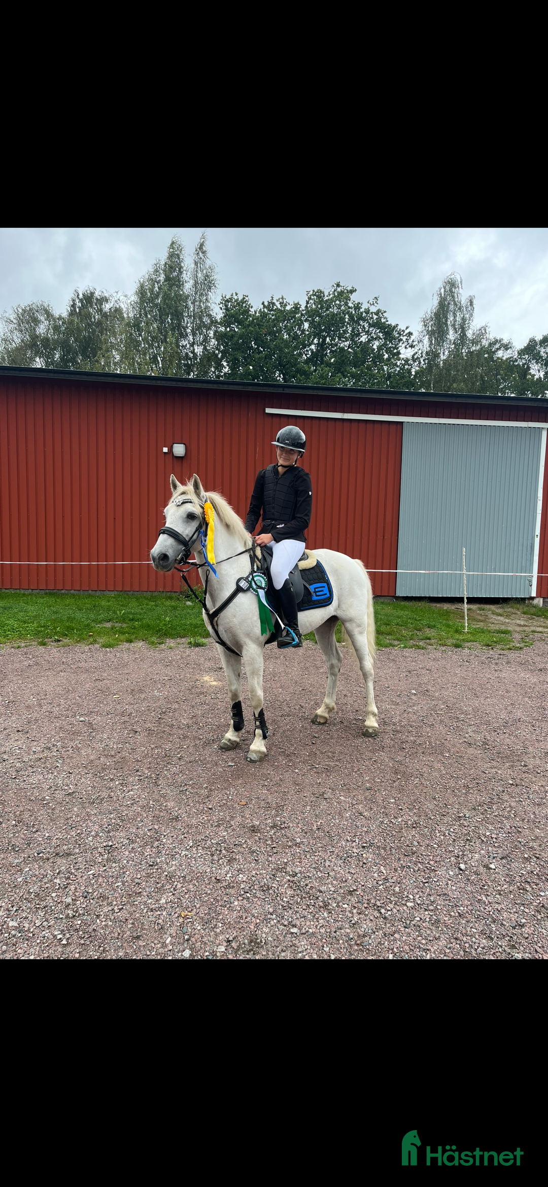 Allround hästar till salu: Allroundponny maxad C i Årjäng - Annons 1