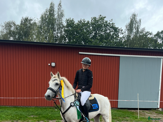 hästar Allroundponny maxad C i Årjäng - Annons 19