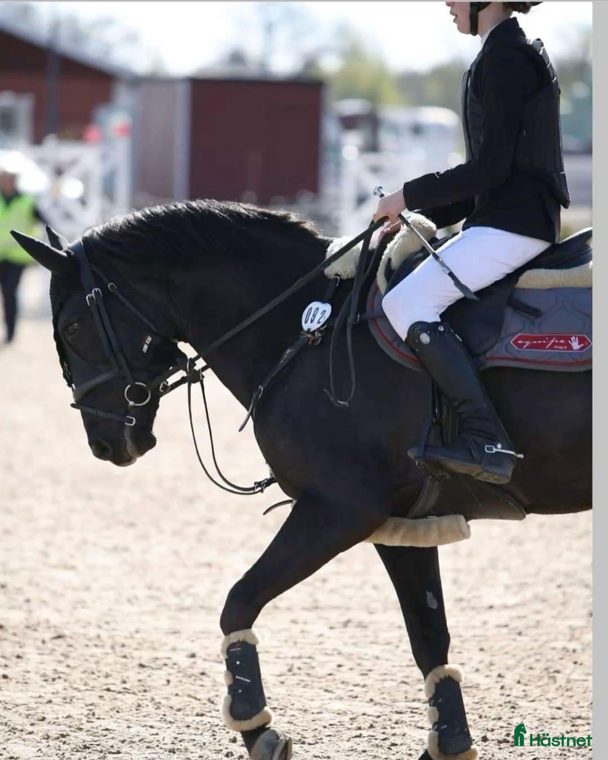  hästar Trygg bästa kompis  - Annons 1