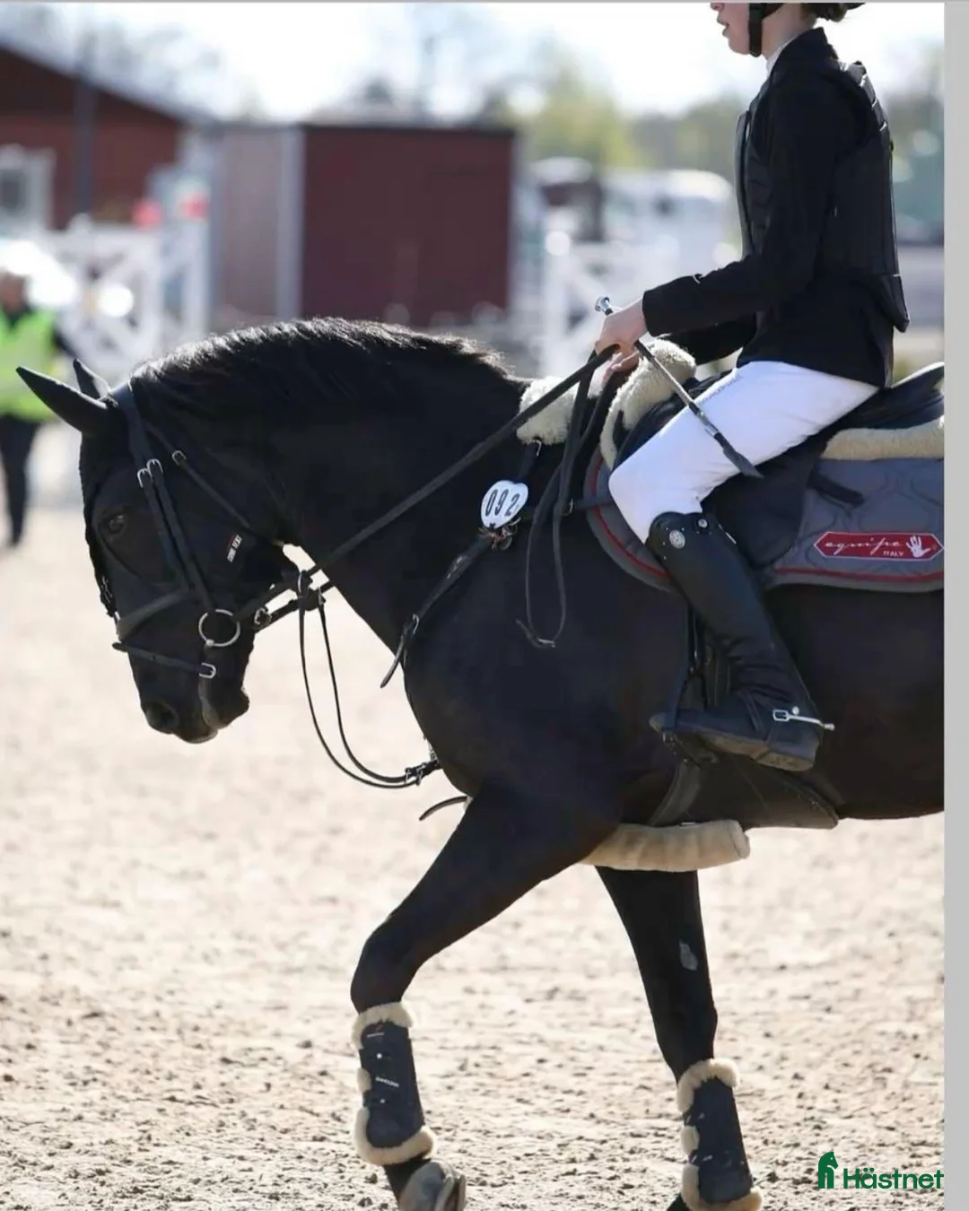 Hoppning hästar till salu: Trygg bästa kompis  - Annons 1