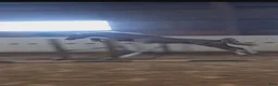 Allround hästar till salu: 3 årig Welsh - Annons 2