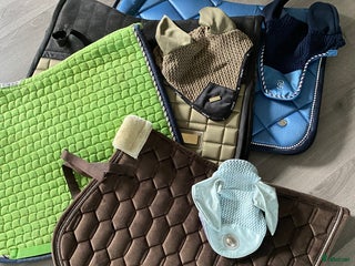 Schabrak & Vojlockar hästutrustning till salu: Flertal schabrak o huvor i Jämjö - Annons 4