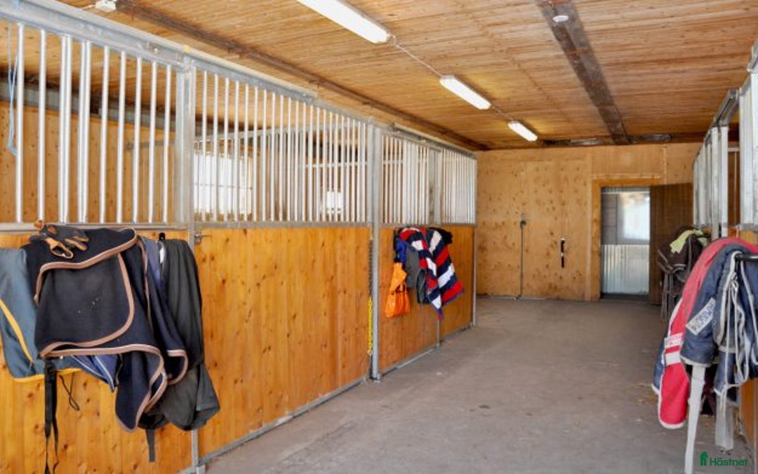  stallplats finnes: Charmig lägenhet med havsutsikt med boxplats  i Bjärred - Annons 4