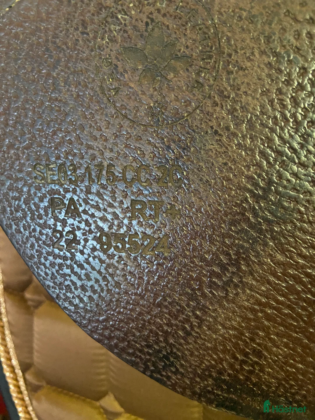 Sadlar hästutrustning till salu: CWD mademoiselle i mkt gott skick  i Blentarp - Annons 2