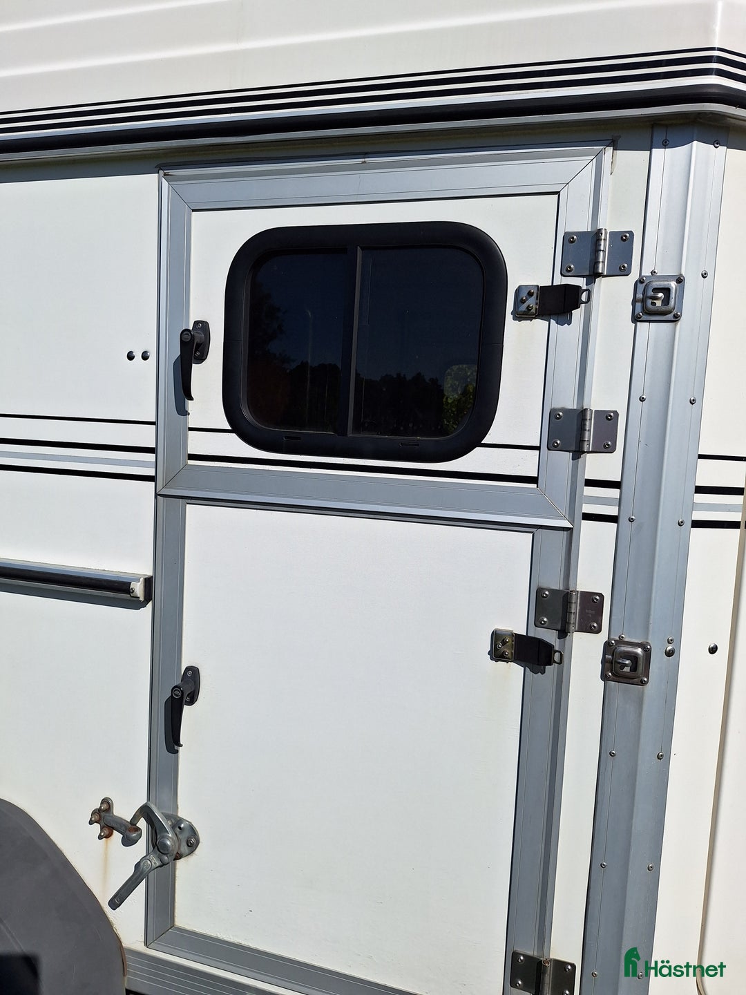 Hästtransporter  fordon & transport till salu: Forzab Cavallo SEH 20, År 2014 - Fullutrustad i Torslanda - Bild 8