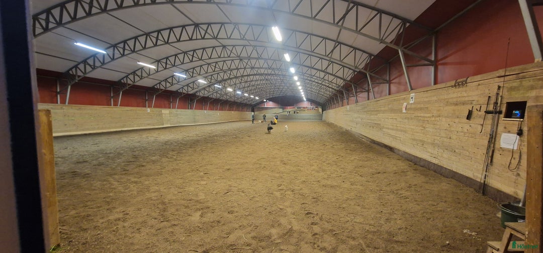  hästgårdar till salu: Hästgård avvecklas. Allt säljes förmånligt. i Grödinge - Annons 5