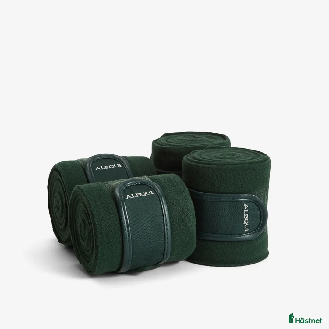 Schabrak & Vojlockar hästutrustning till salu: Alequi Schabrak+ lindor +huva - Annons 3