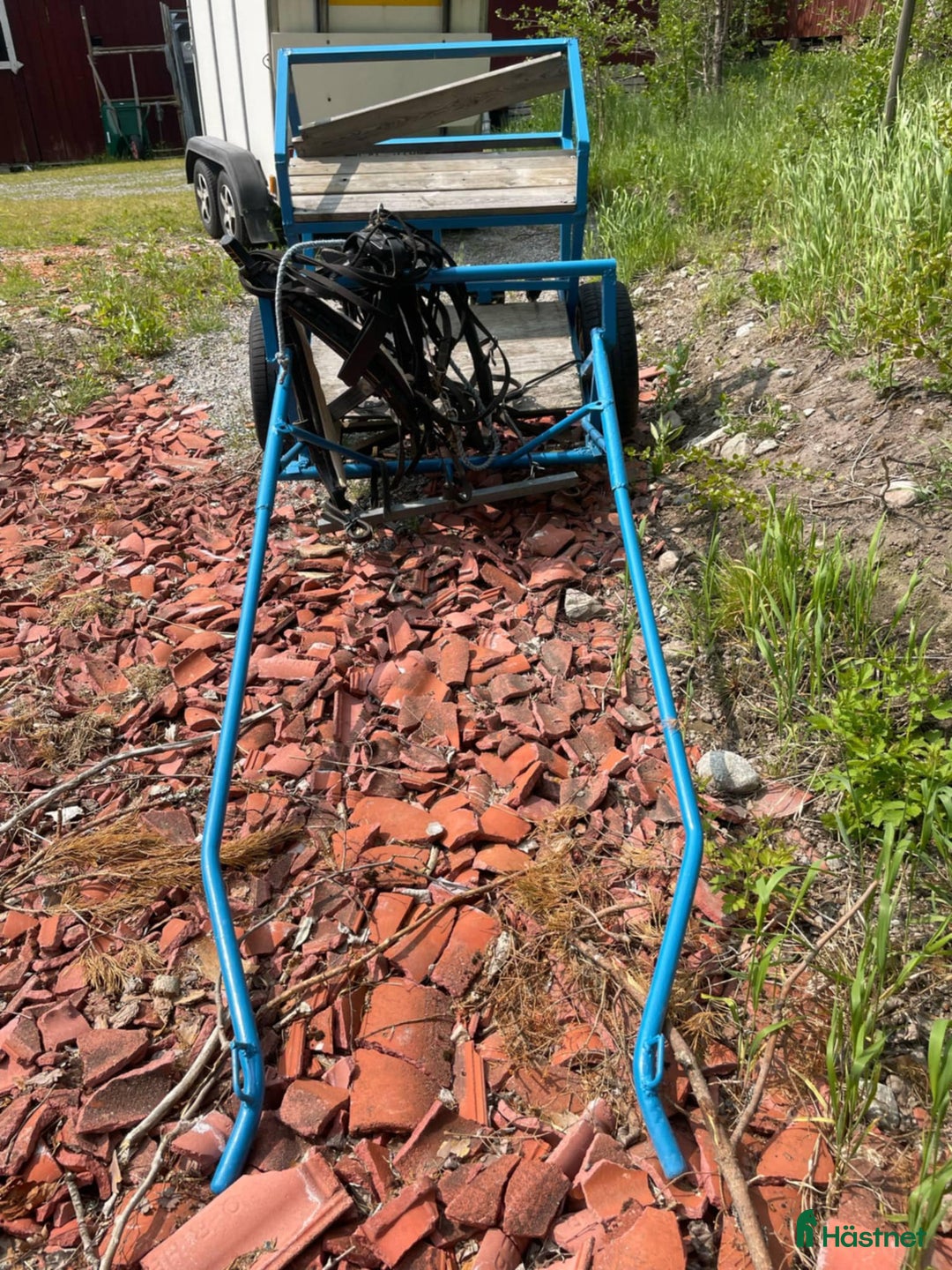 Körvagnar körning till salu: Rockard passande sport ponny/ islänning i Norrtälje - Annons 5