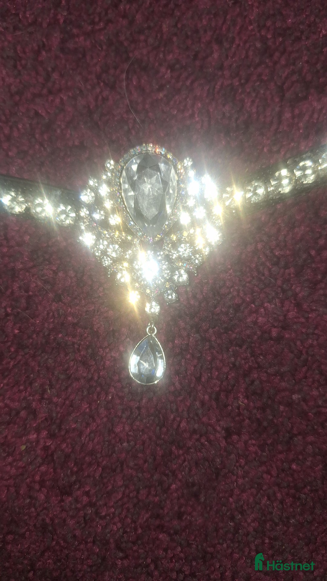 Träns hästutrustning till salu: 🌟Panband till salu🌟 i Nora - Annons 1