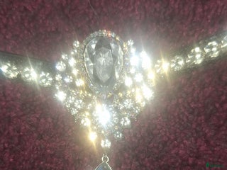 Träns hästutrustning till salu: 🌟Panband till salu🌟 i Nora - Annons 4