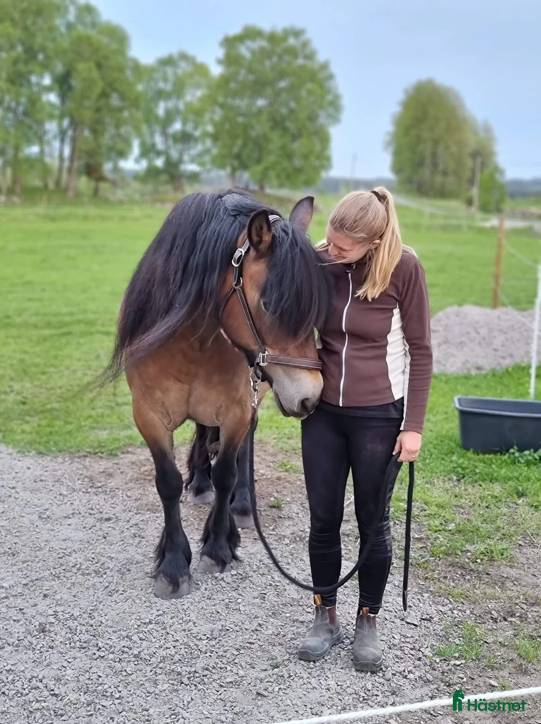 Galleribild {{count}}