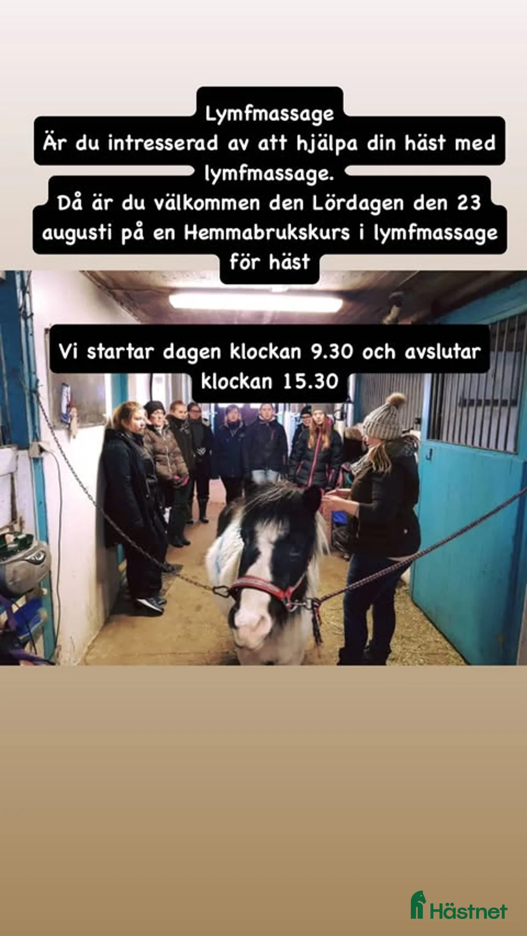  hästservice finnes: kurs i cirkulations och lymfmassage för häst - Annons 1