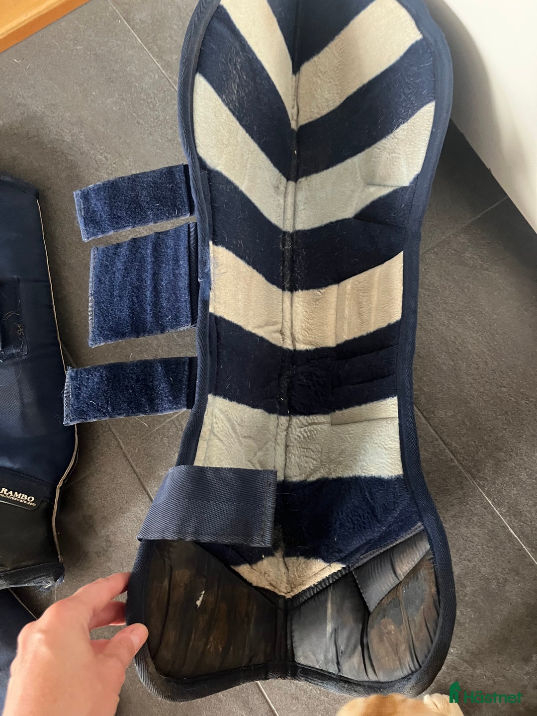 Benskydd hästutrustning till salu: Transportskydd strl F i Växjö - Annons 6