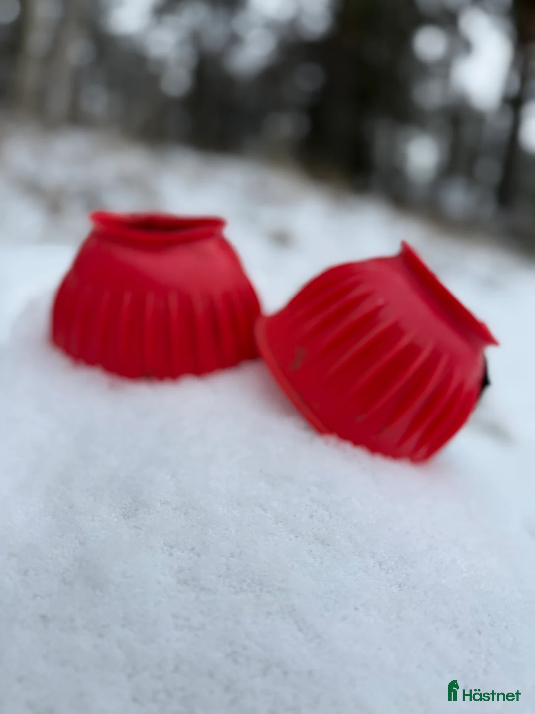 Övrig Hästutrustning hästutrustning till salu: Matchande rött set – schabrak & boots i Värmdö - Annons 3