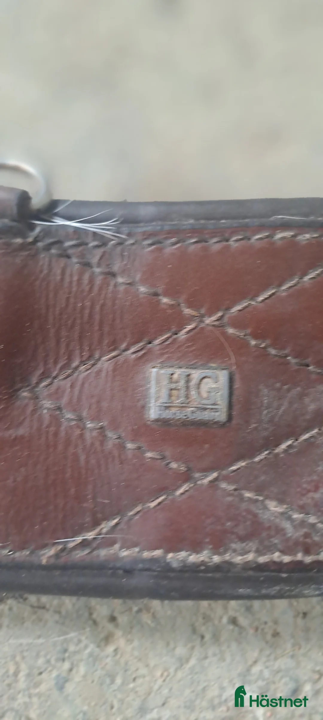 Sadeltillbehör hästutrustning till salu: Magplatta  - Annons 2