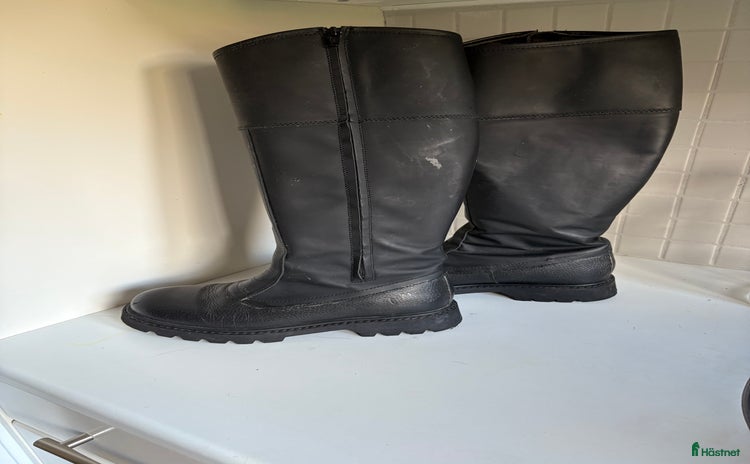 Ridstövlar ryttarutrustning till salu i Vikarbyn - Annons 12