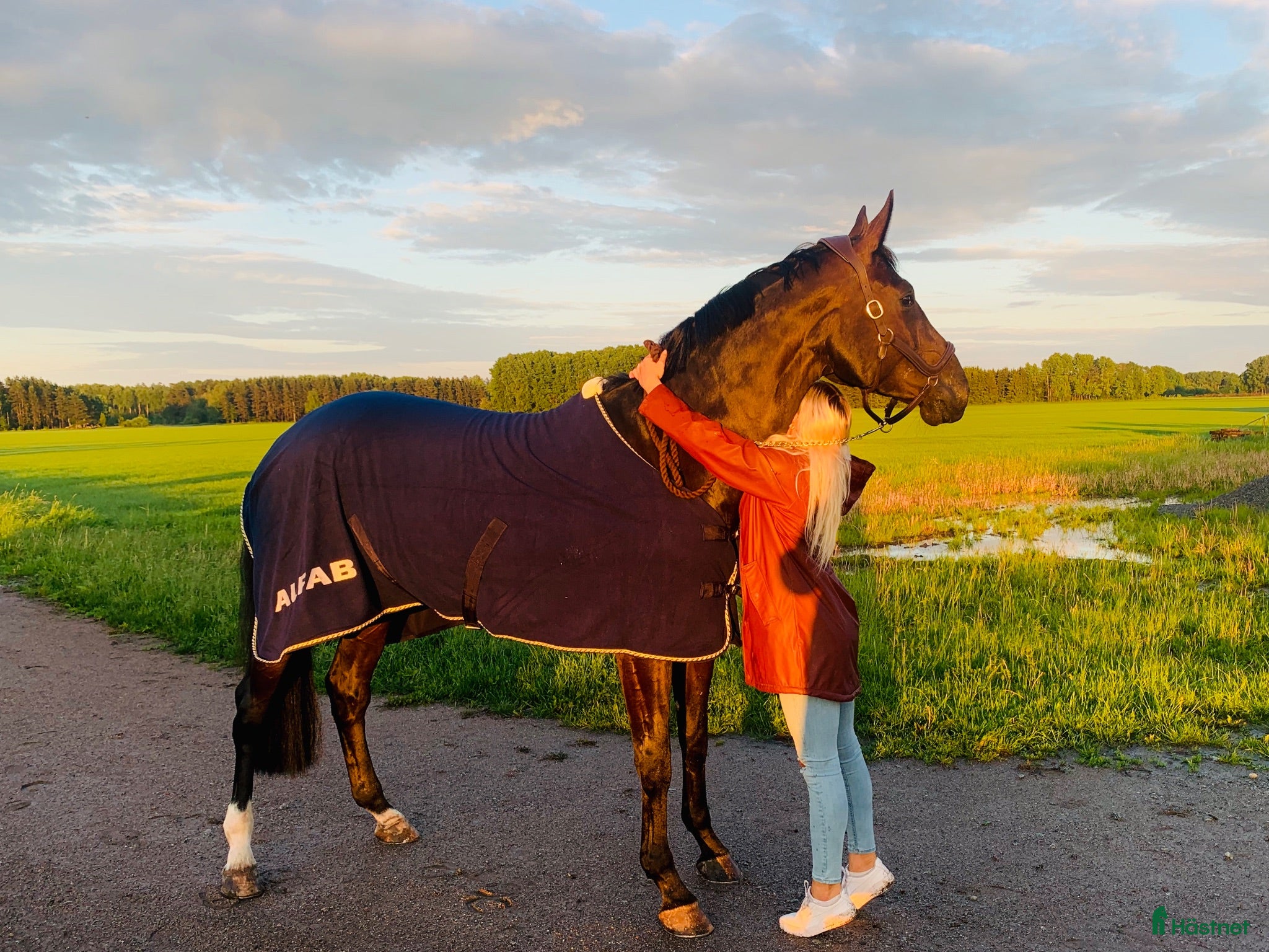  hästar Lyxig hobbyhäst- bästa träningskompisen - Annons 1
