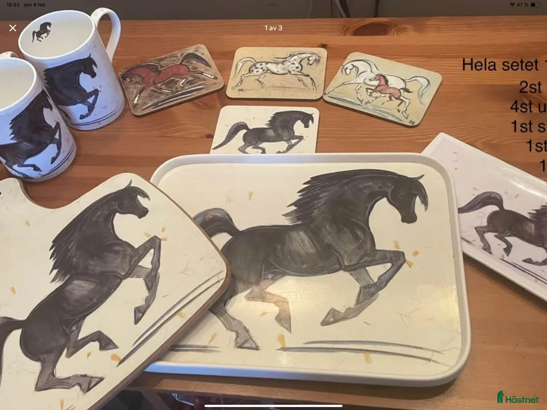 Hästinspirerad heminredning övrig utrustning till salu: Häst set i Rödeby - Annons 1