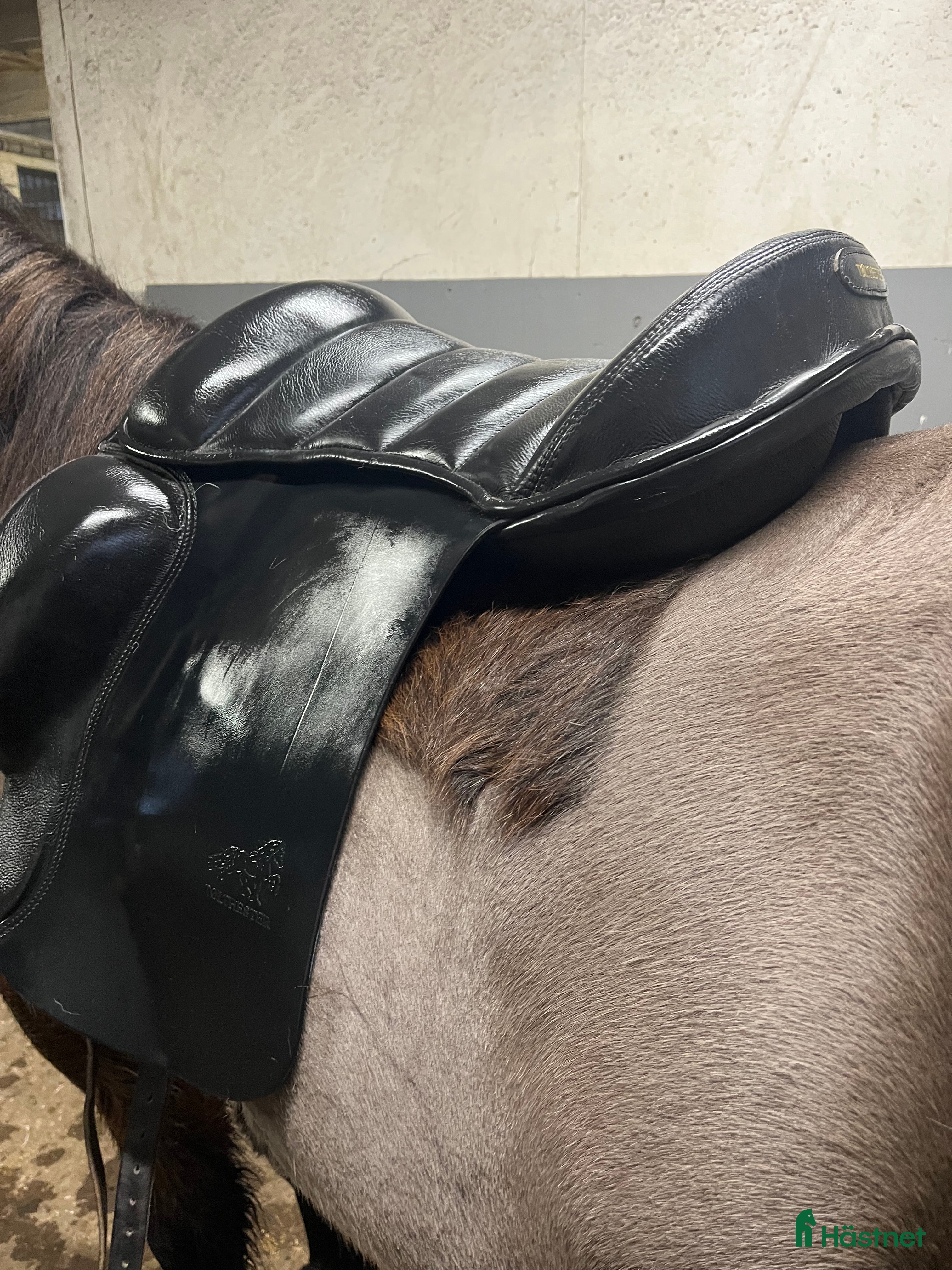 Sadlar hästutrustning till salu: Tölthästar islandsadel 17,5" - snabb affär i Kalmar - Annons 2