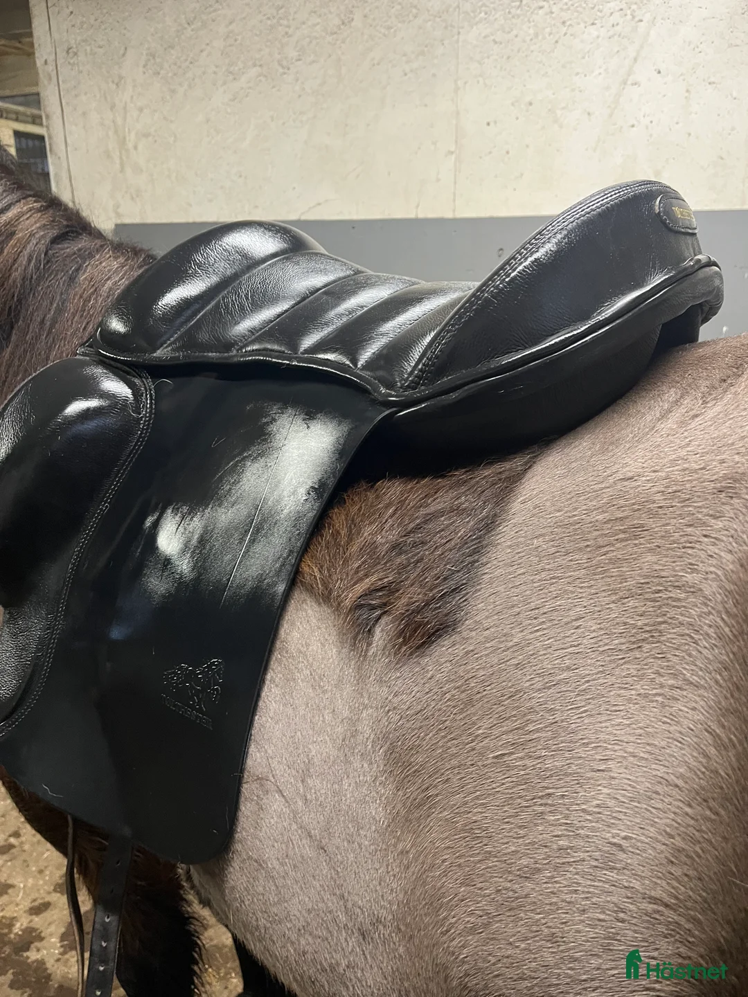 Sadlar hästutrustning till salu: Tölthästar islandsadel 17,5" - snabb affär i Kalmar - Annons 1