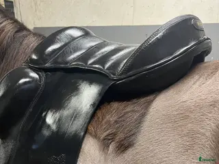 Sadlar hästutrustning till salu: Tölthästar islandsadel 17,5" - snabb affär i Kalmar - Annons 2