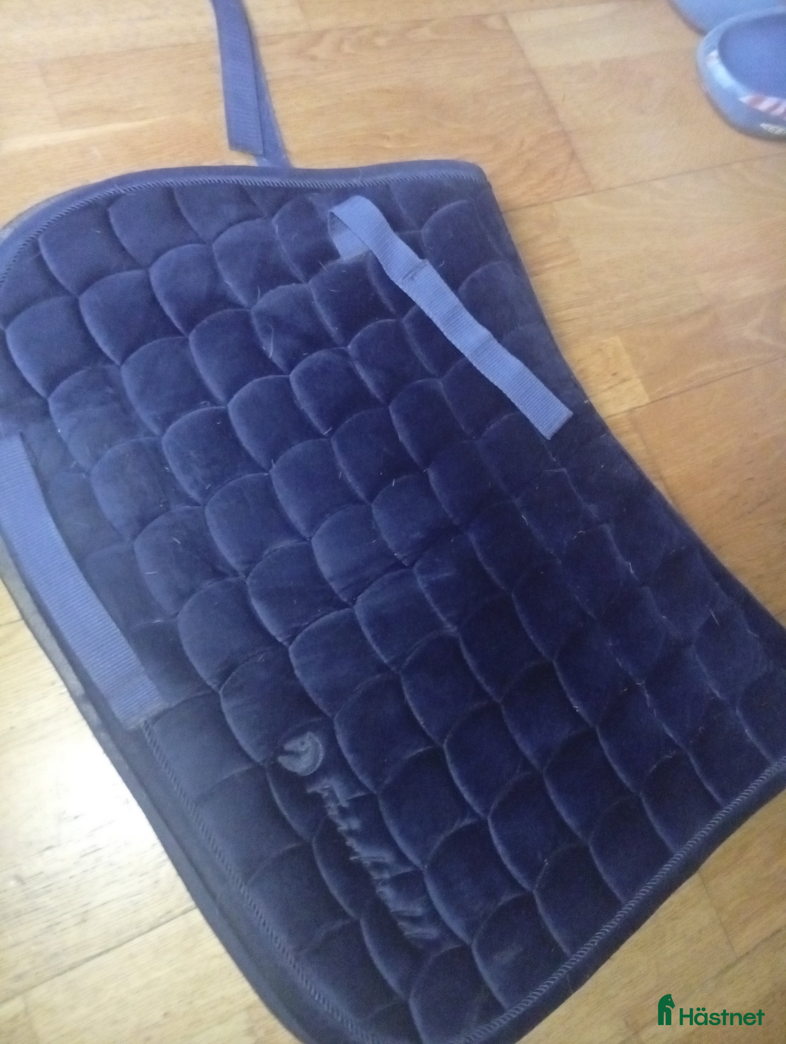 Schabrak & Vojlockar hästutrustning till salu: Mörkblått schabrak  i Tomelilla - Annons 21