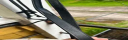 Träns hästutrustning till salu: Läder/gummityglar - Annons 3