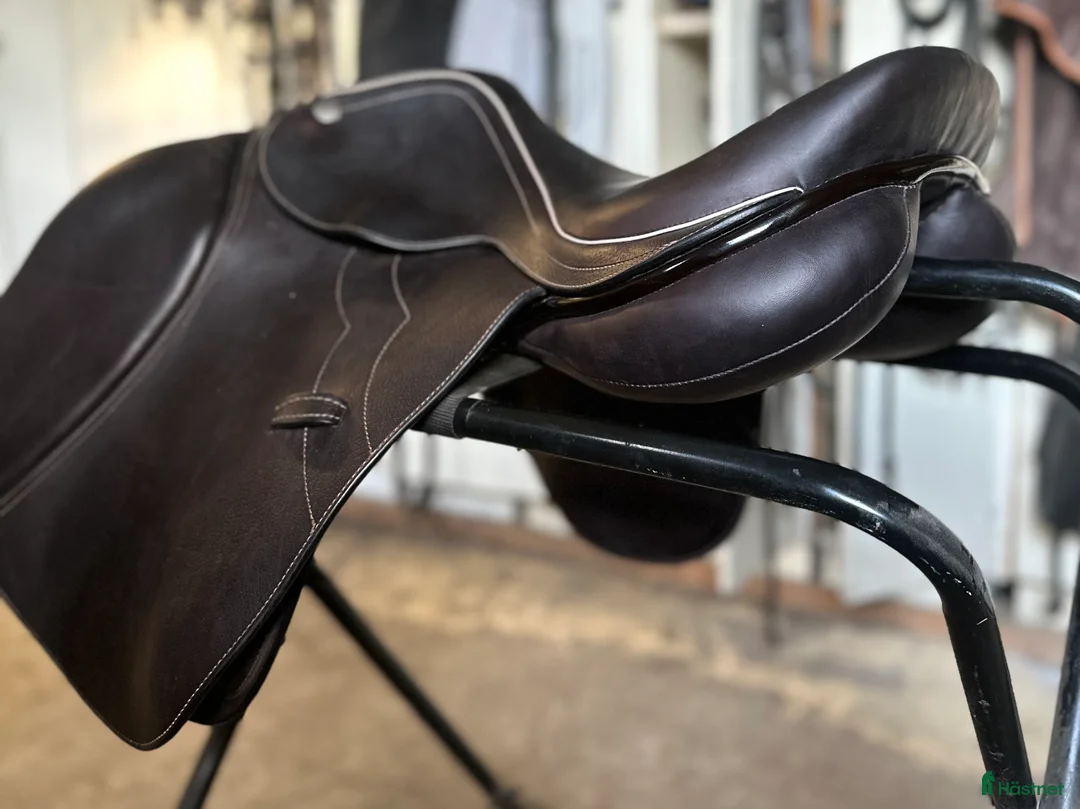 Sadlar hästutrustning till salu: Ny kemnevall Jumping Harold i Grödinge - Annons 2