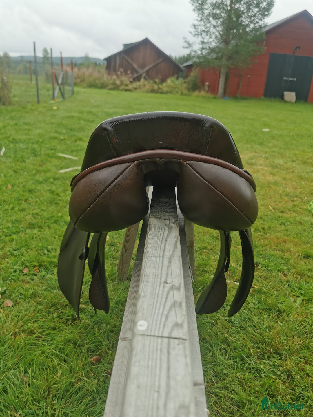 Sadlar hästutrustning till salu: Globus Esperanza 17,5 XW i Vännäs - Annons 3