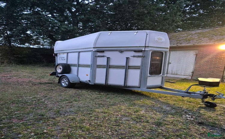 Hästtransporter  fordon & transport till salu i Lidköping - Annons 10