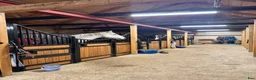  stallplats finnes: Boxplats med stora hagar och mycket hagtid - Annons 3