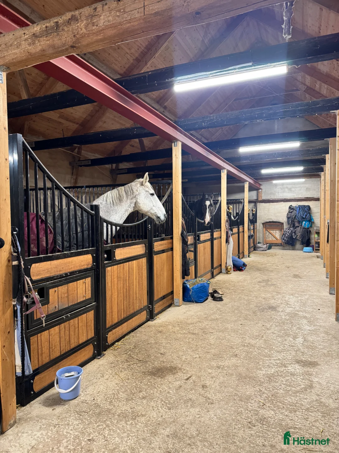  stallplats finnes: Boxplats med stora hagar och mycket hagtid - Annons 1