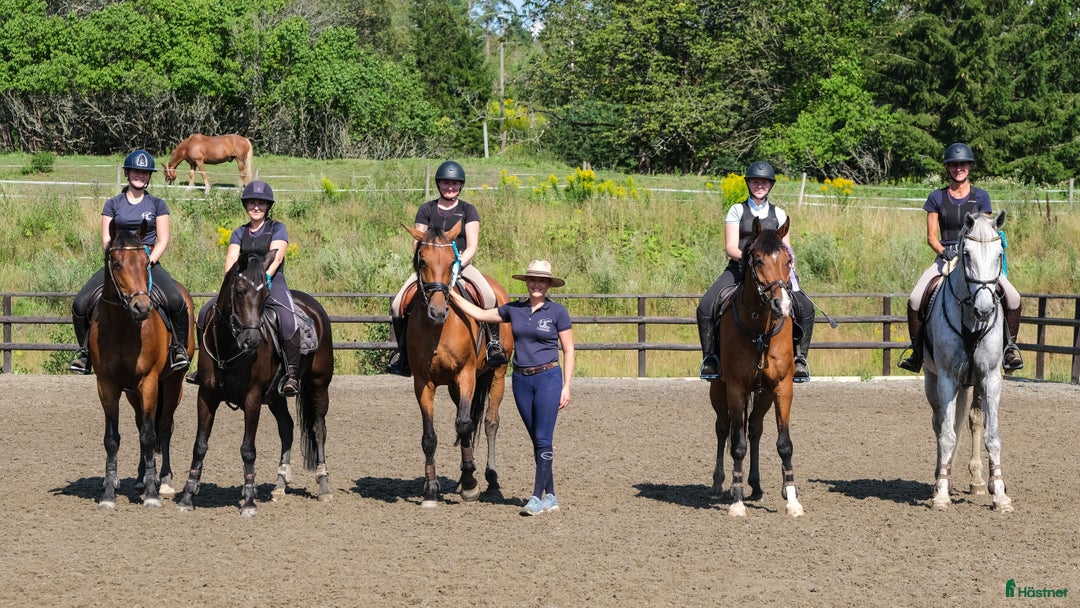  hästjobb finnes: Jobb på en av Norges største rideskoler🐎🇳🇴 - Annons 1