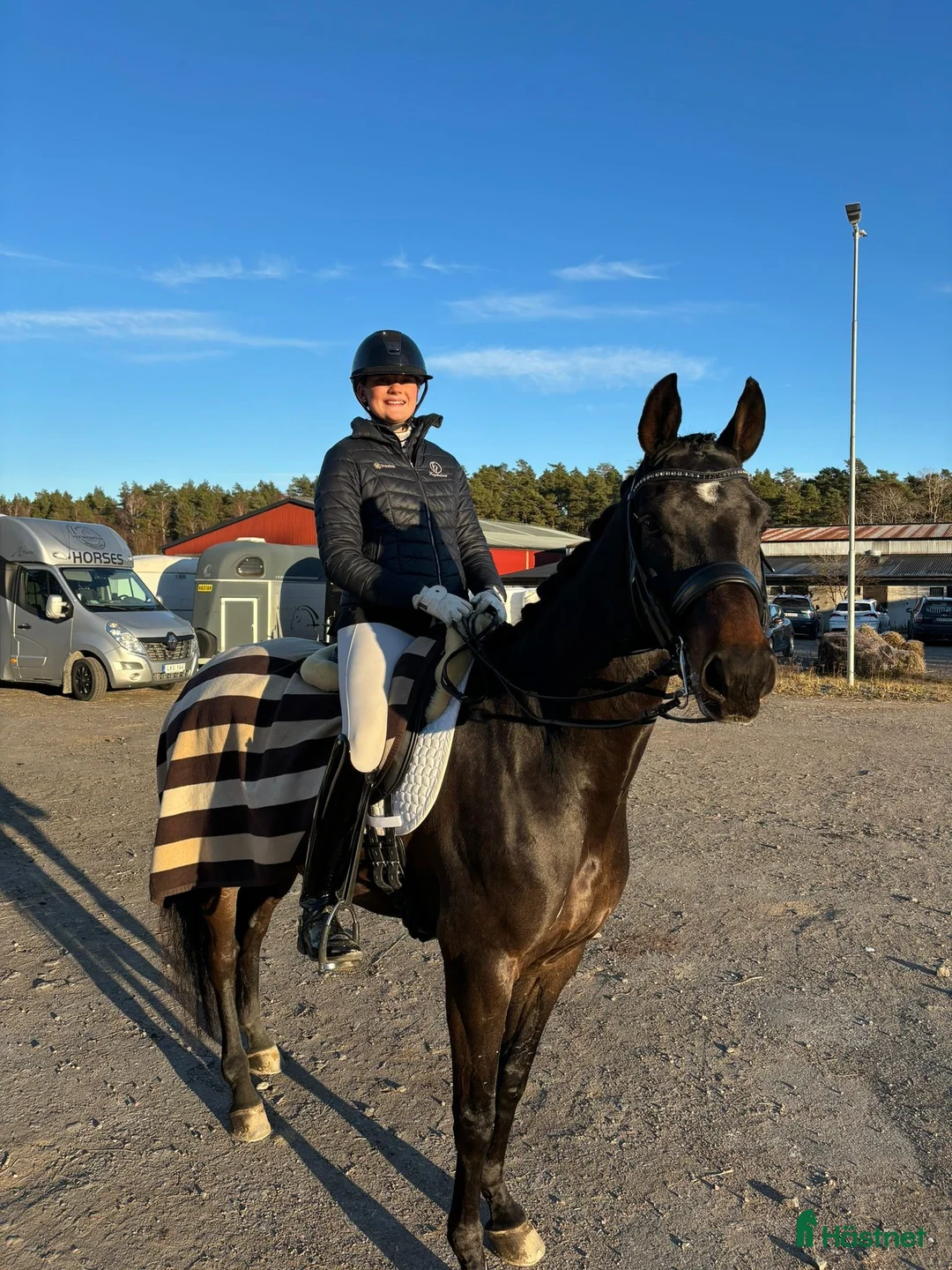 Dressyr hästar till salu: Välutbildad SWB-valack f. 2016 i Västra Tunhem - Annons 7