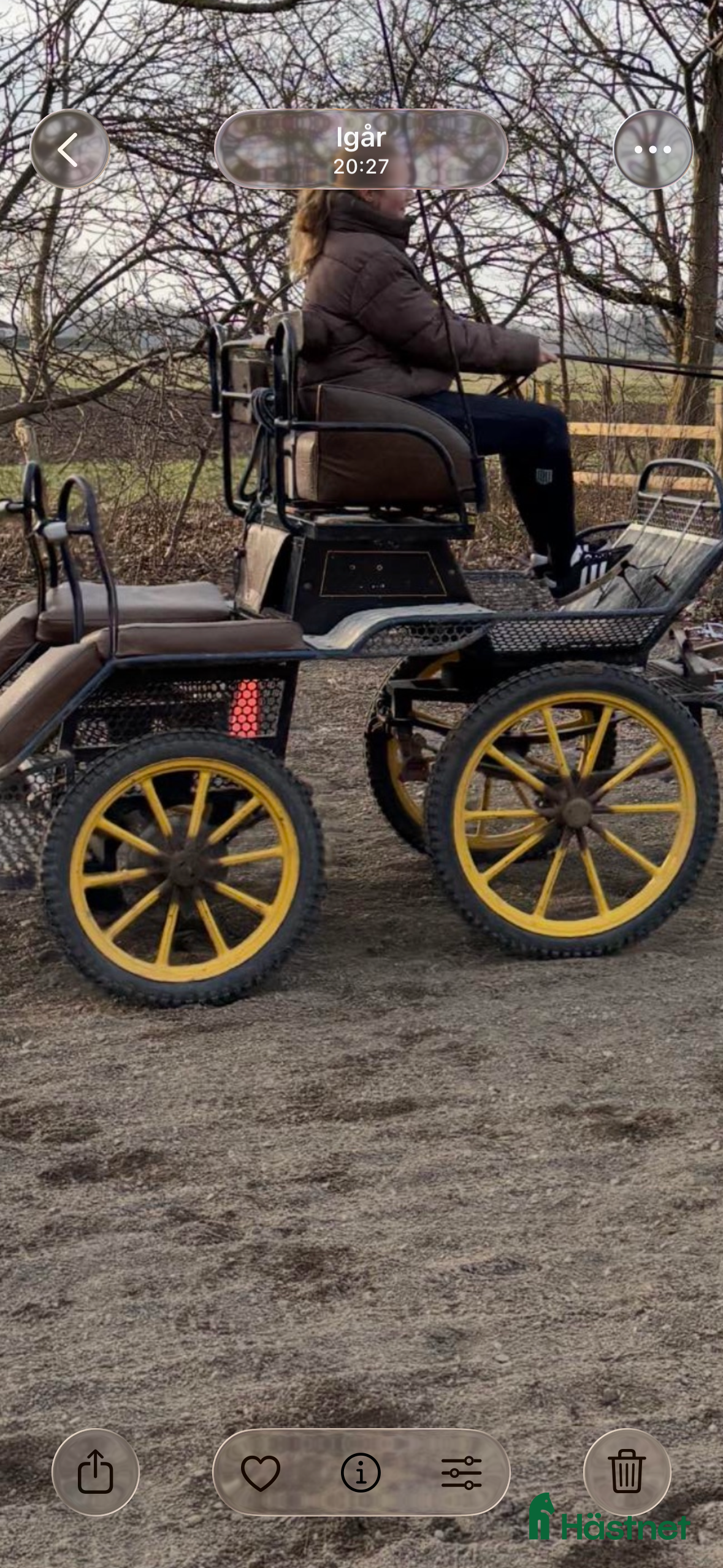 Körvagnar körning till salu: Maratonvagn - Annons 2